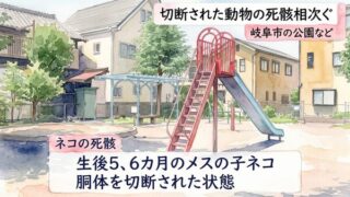沓井公園