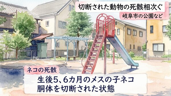 沓井公園